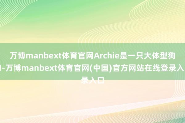 万博manbext体育官网Archie是一只大体型狗狗-万博manbext体育官网(中国)官方网站在线登录入口