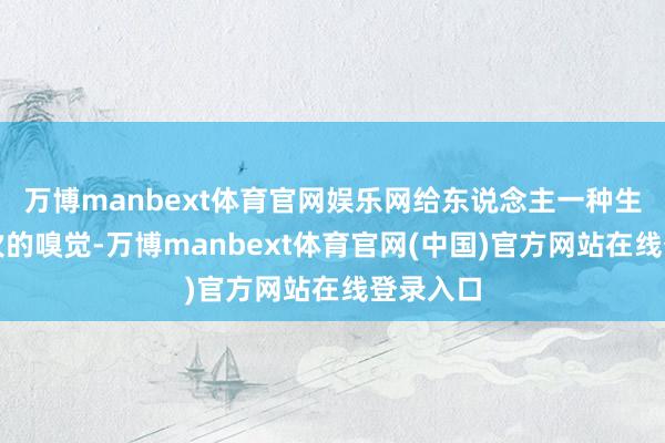 万博manbext体育官网娱乐网给东说念主一种生计有层次的嗅觉-万博manbext体育官网(中国)官方网站在线登录入口