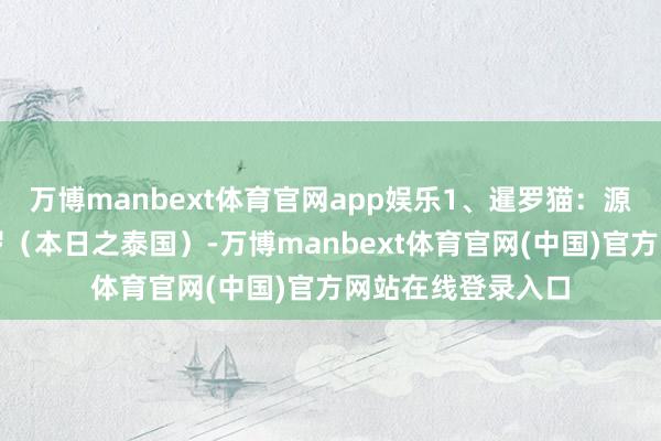 万博manbext体育官网app娱乐1、暹罗猫:源自陈腐奥妙的暹罗(本日之泰国)-万博manbext体育官网(中国)官方网站在线登录入口