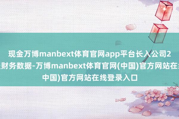 现金万博manbext体育官网app平台长入公司2025年中报财务数据-万博manbext体育官网(中国)官方网站在线登录入口