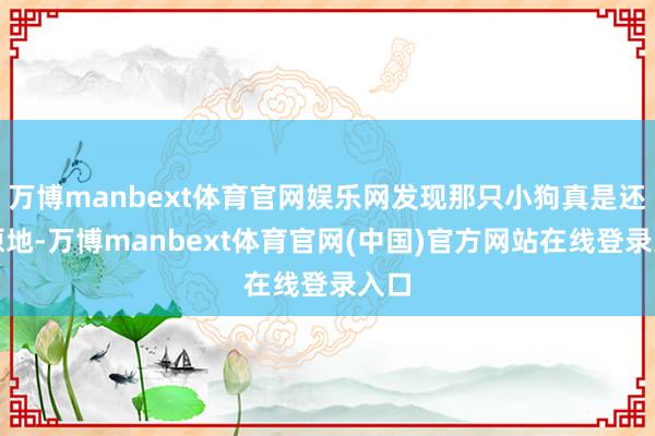 万博manbext体育官网娱乐网发现那只小狗真是还在原地-万博manbext体育官网(中国)官方网站在线登录入口