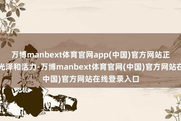 万博manbext体育官网app(中国)官方网站正从头繁荣出光泽和活力-万博manbext体育官网(中国)官方网站在线登录入口