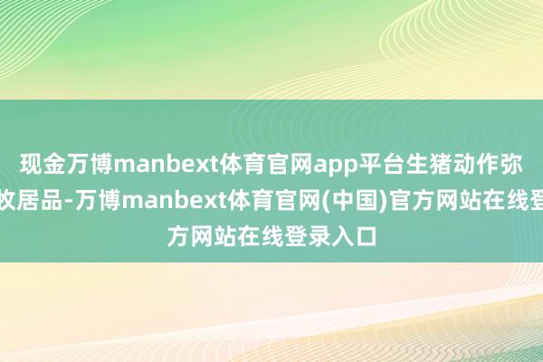 现金万博manbext体育官网app平台生猪动作弥留的畜牧居品-万博manbext体育官网(中国)官方网站在线登录入口