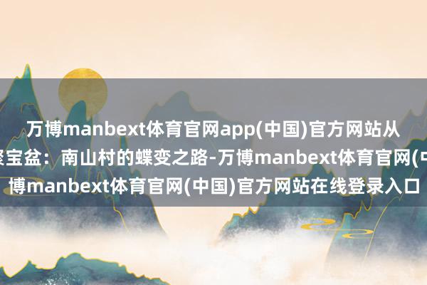 万博manbext体育官网app(中国)官方网站从排水沟到年入50万元的聚宝盆：南山村的蝶变之路-万博manbext体育官网(中国)官方网站在线登录入口