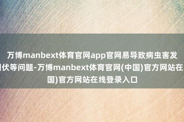 万博manbext体育官网app官网易导致病虫害发生、后期倒伏等问题-万博manbext体育官网(中国)官方网站在线登录入口