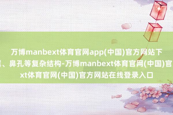 万博manbext体育官网app(中国)官方网站下半部含鼻软骨、鼻翼、鼻孔等复杂结构-万博manbext体育官网(中国)官方网站在线登录入口