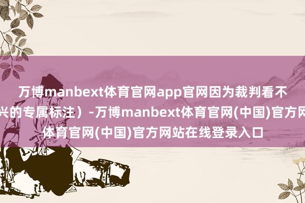 万博manbext体育官网app官网因为裁判看不到正在判断的复兴的专属标注）-万博manbext体育官网(中国)官方网站在线登录入口